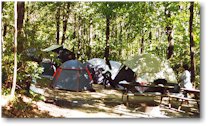 Camp2.jpg (14477 bytes)