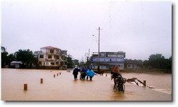 Flooded road