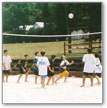 volley.jpg (11348 bytes)